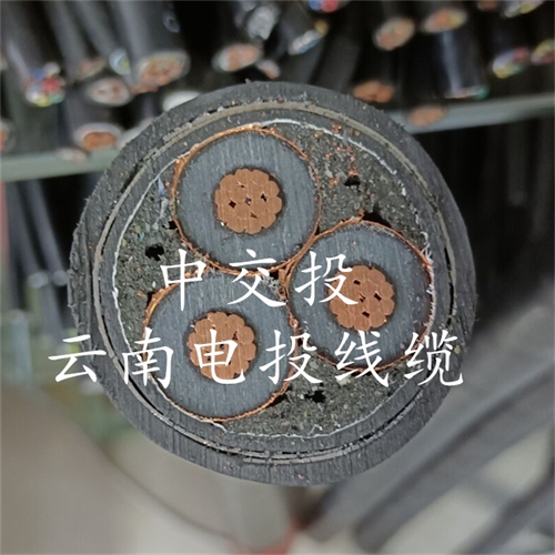 m.catchiy.com