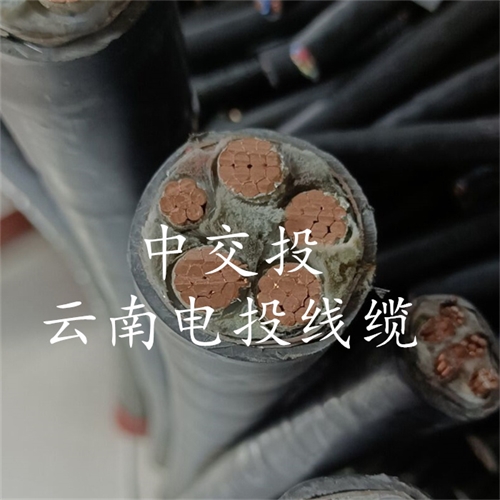 m.catchiy.com