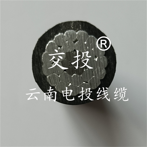 m.catchiy.com